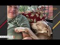 Desperate for love, shelter dog encounters human kindness