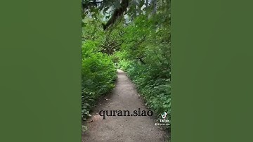 (إِنَّ اللَّهَ وَمَلَائِكَتَهُ يُصَلُّونَ عَلَى النَّبِيِّ ۚ ) القارئ ‏ ‏هيثم الدخين