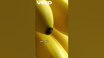 A Black Hole, Banana DNA & AI’s New Superdrug?! 🌌🍌🤖 Mind-Blowing Science Facts You Won’t Believe!