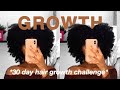 30 Day Natural Hair Growth Challenge || 4B/4C hair