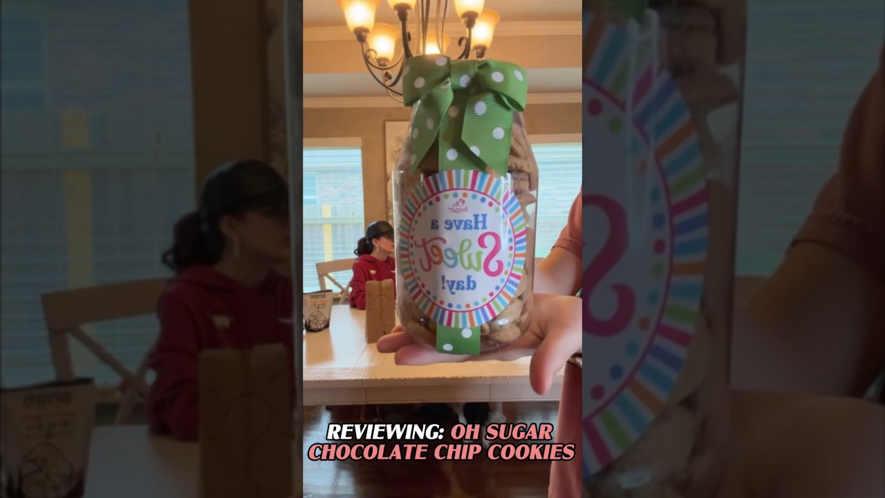 REVIEWING: CHOCOLATE CHIP COOKIES!! 