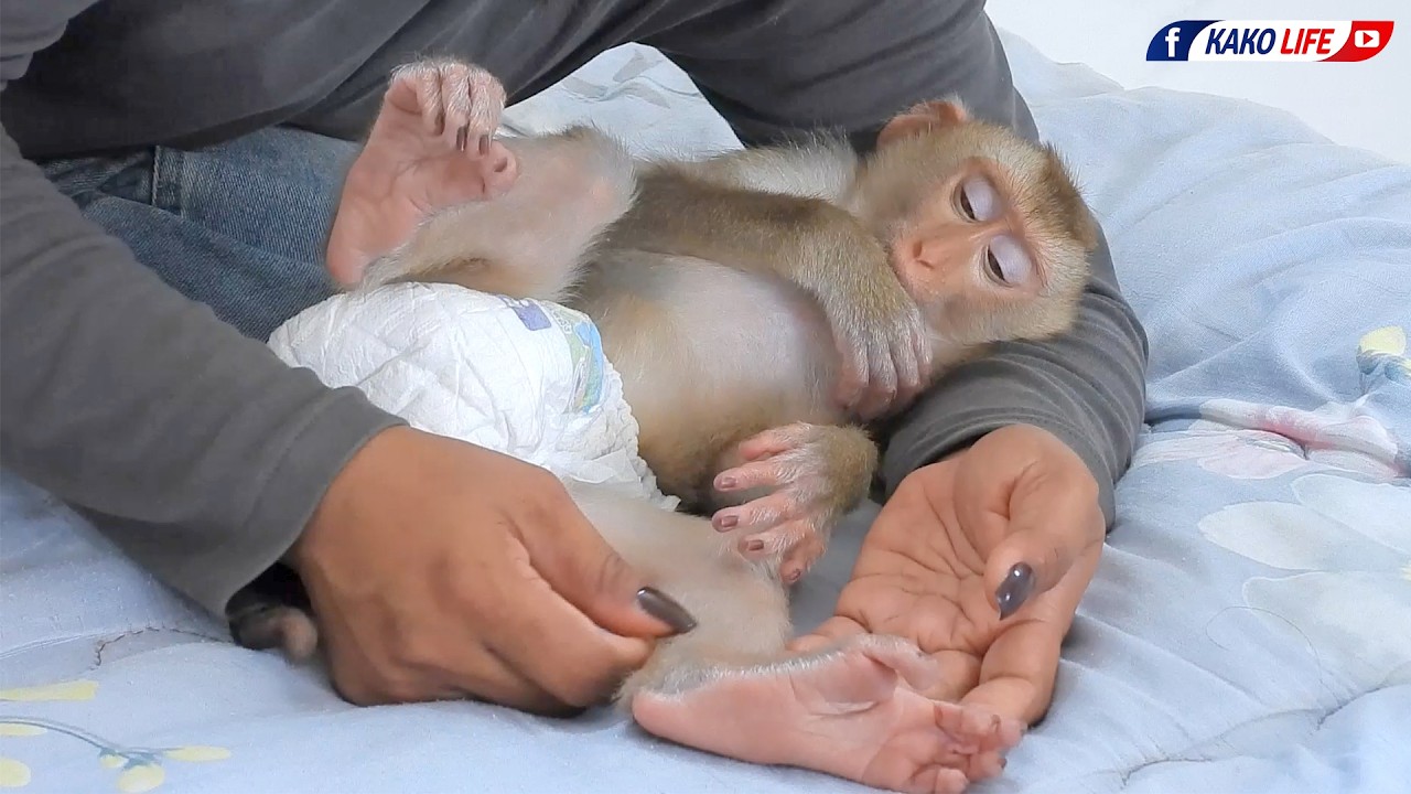 Cute Girl Valen Taking A Nap After Plays With Grandma
