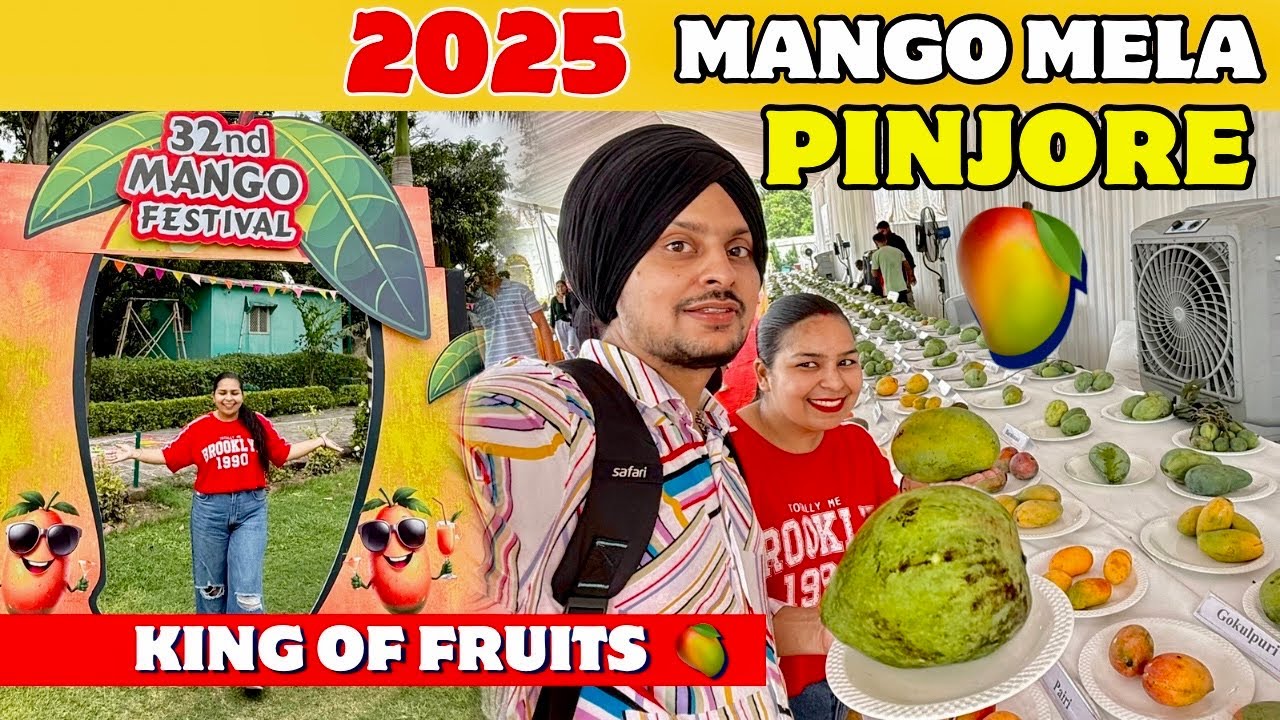 Mango Mela Pinjore 2025 🥭 | Mango Mela 2025 | Pinjore Garden Haryana | 500 Variety of Mangoes