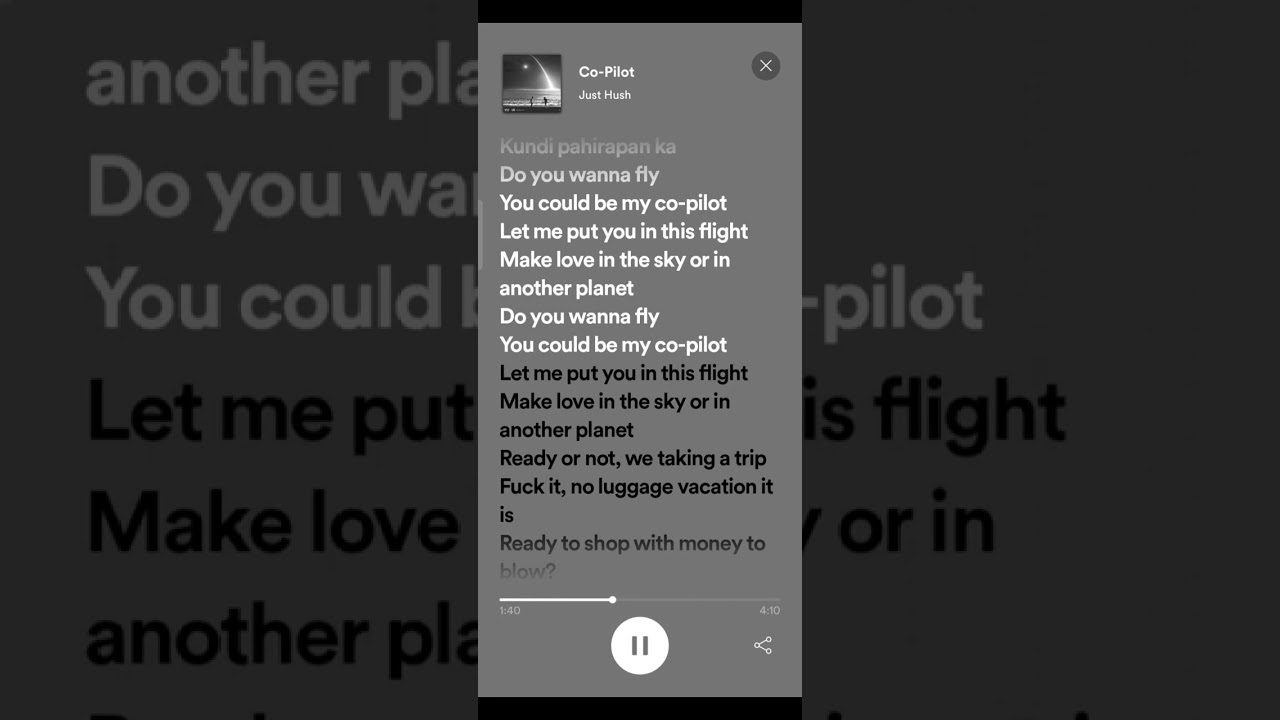 Co-Pilot by Just Hush