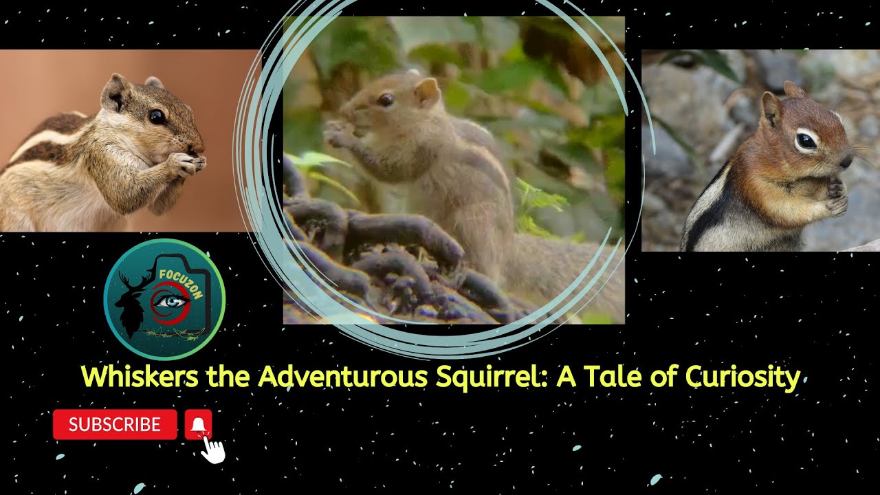Whiskers the Adventurous: Squirrel A Tale of Curiosity 