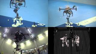 Celebrity Hybrid visual servoing with hierarchical task composition for aerial manipulation Net Worth