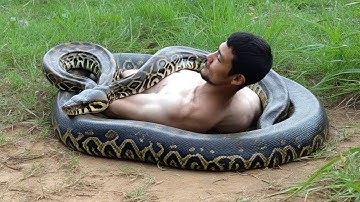 Unbelievable Moment in the Wild You Have to See