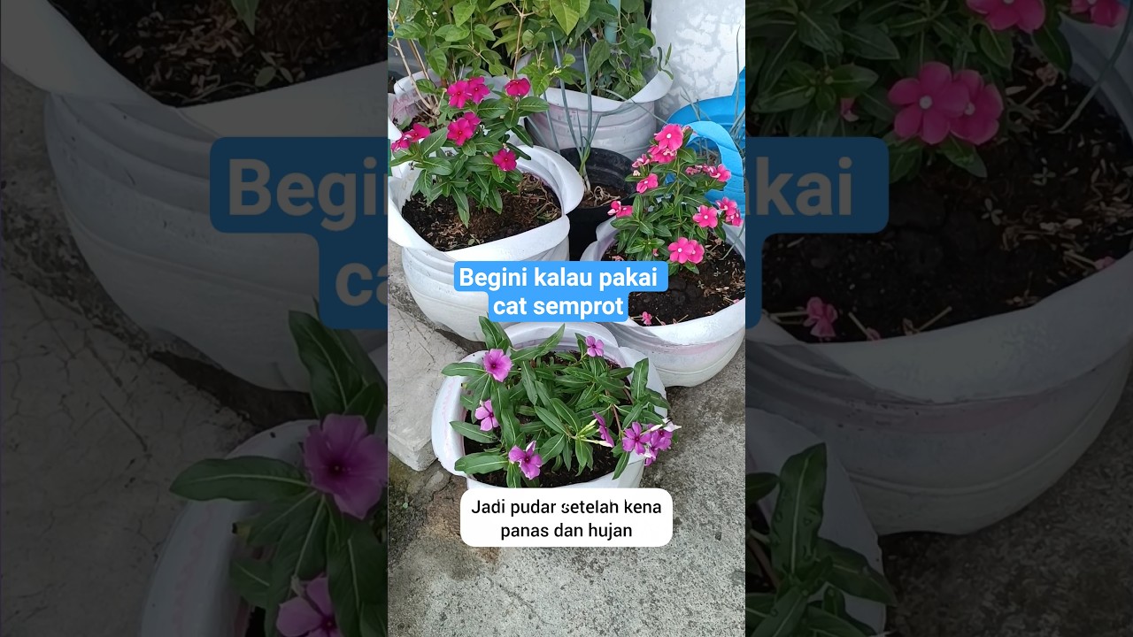 Mengganti warna pot kusam jadi motif strawberry