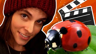 Ladybug Superhero Film Shoot #livestream #btsvideo