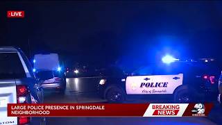 Police presence in Springdale neighborhood