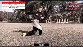 Seni Silat Solo Kreatif Mohamad Faris Danial Bin Mohd Arif Faizal