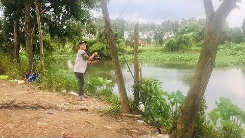 Câu cá tra thiên nhiên ở cầu bà năm Quận 12 ||Trí Nguyễn fishing
