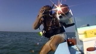 KeysDiveGuide Vol.1-Introduction to the Dive Odyssey Video Series / Safety Tips