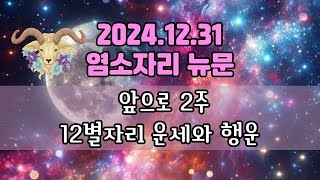 ⭐별자리운세⭐12/31 염소 뉴문부터 2주 동안♑_소원 타이밍_소원 키워드
