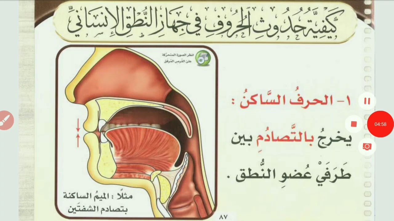 Les sorties des lettres arabes الجوف 1 - YouTube