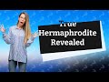 What does a true hermaphrodite look like?