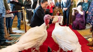 Turkeys ‘Bread’ and ‘Butter’ Get Presidential Pardon