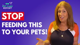 Cat vs. Dog Diets: Surprising Differences