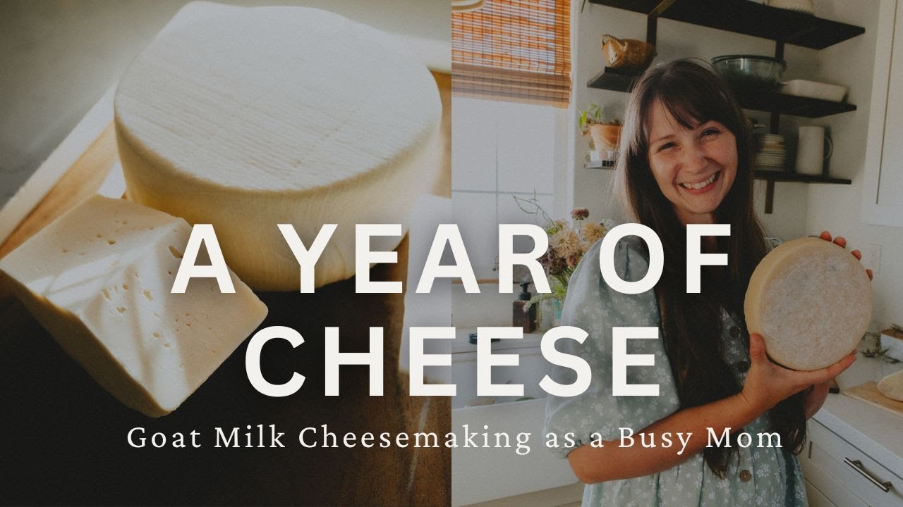 All the Cheese I Made From Our Goat Milk This Year | Homestead Cheesemaking Tour