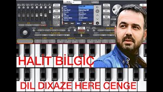 Org24 Dil Dixaze Here Cenge Sonuna Segawi̇ Halay Kadar Di̇nleyi̇n