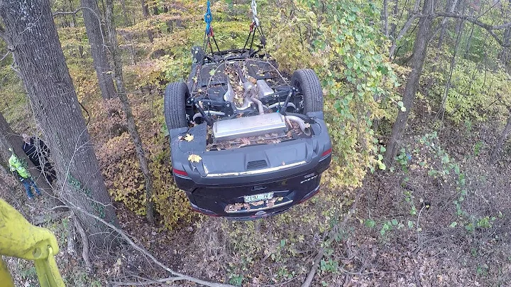 Rogue Tator   Fishing In The Woods
