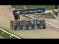 Hove Greyhound Trials 1/5/24