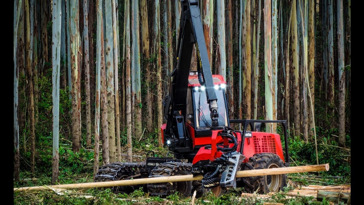 Harvester Komatsu 931 - Eucalyptus