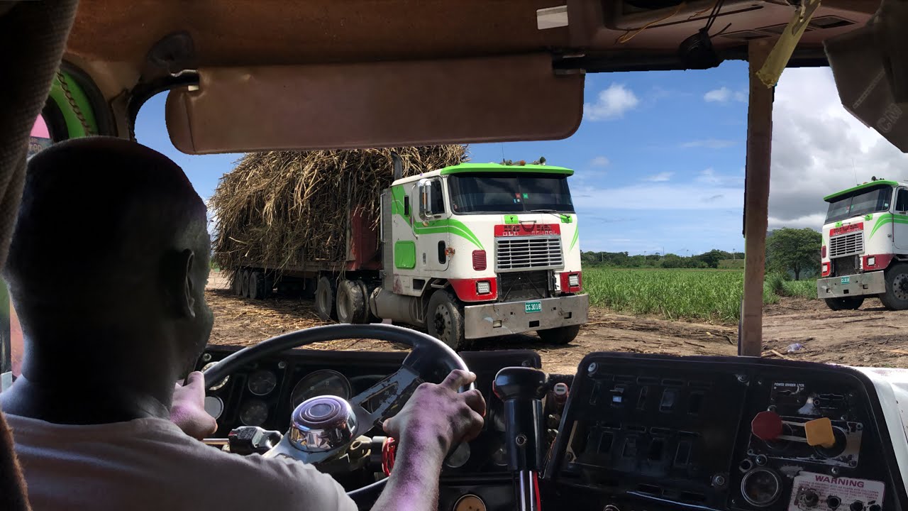 Munchie || "Old School" International 9600 || Hauling a Load of Sugar Cane || Jamaica Cane Truckers