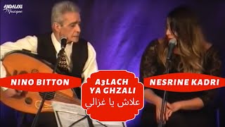 A3Lach Ya Ghzali - Nesrine Rend Hommage À Limmense Salim Halali