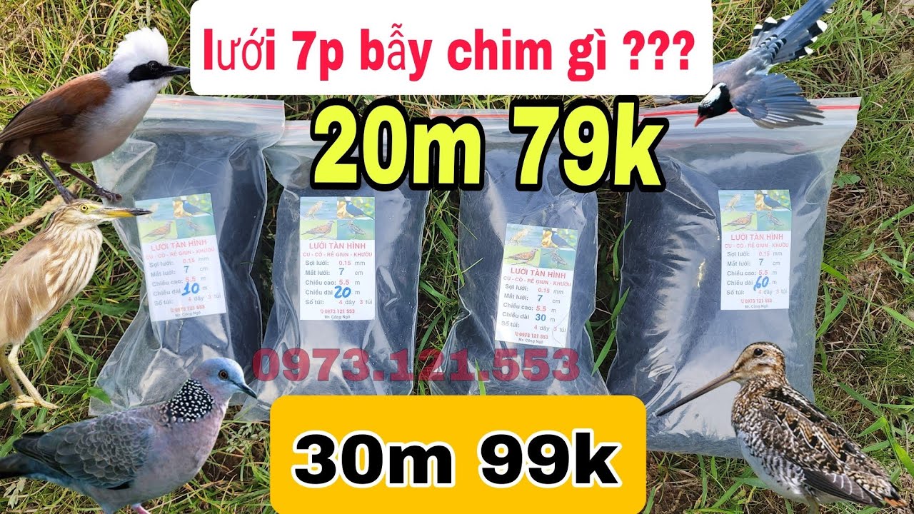 lưới 7p bẫy chim gì ??? xem hết clip để biết rõ hơn #chimcugay #baychim #luoibaychim #luoitanghinh