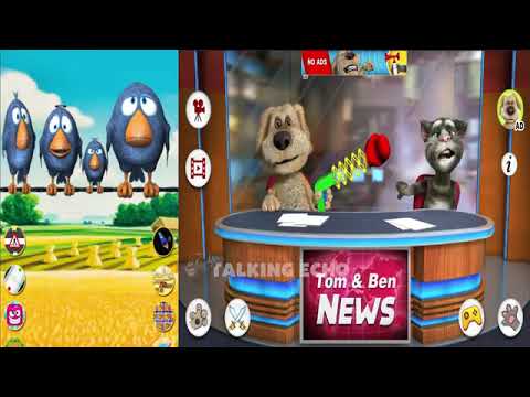 Talking Birds on Wire vs Talking News (Reupload)