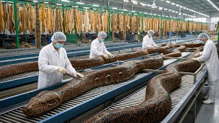 Inside the Cobra Leather Factory – (Full Process) How Million-Dollar Luxury Jackets Are Made