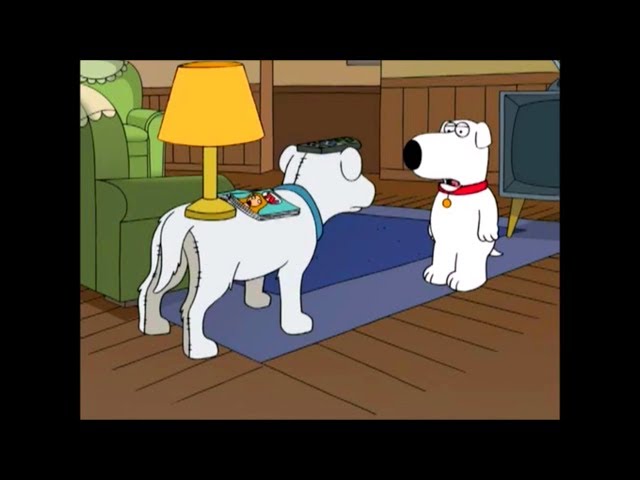 Brian Griffin / Mother ia コムデギャルソン Brian Griffin / Mother ia コムデギャルソン Brian Griffin had