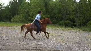 M4V00885.MP4