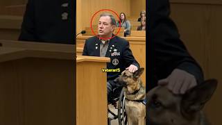 They Put a Veteran’s Service Dog on the Euthanasia List 😢🐕 #usa