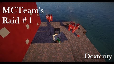 | MCTeams Raid 1 | Senoxe