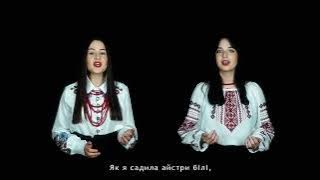 В саду осіннім айстри білі