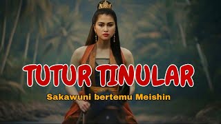 Tutur tinular versi ai Sakawuni bermalam dirumah meishin#tuturtinular#kamandanu