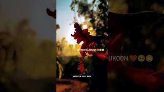 Tu Hi Tou Jannat Meri  Tu Hi Rooh Ka Sukoon  Viral  Trending  Love Song  Shahrukh Khan 