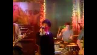 Shed Seven -  Bully Boy