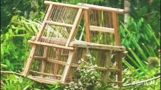 ⚽pikat burung merbah belukar dapat banyak dan PIKAT BURUNG CIBLEK/ SUPER HEBAT 👍