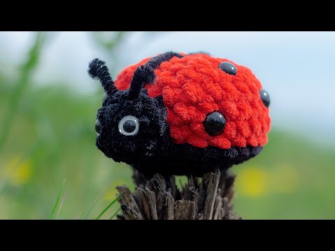 Haak Tutorial LadyBug