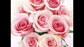 Kau menangis lagi - Syahgofa Kau menangis lagi - Syahgofa