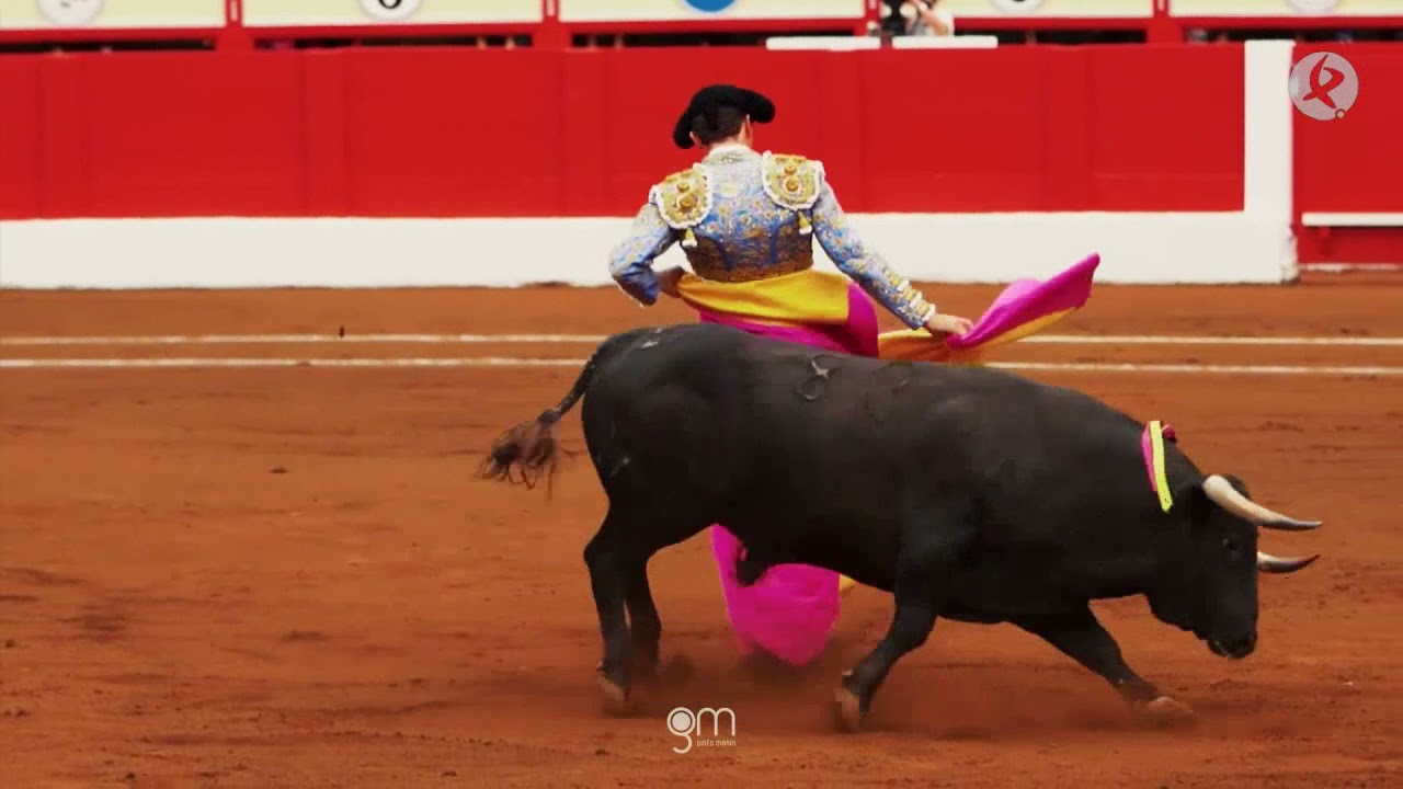 La gran temporada de Ginés Marín | Tierra de Toros