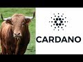 Here Is How A Cardano Bullrun Could Change Cryptocurrency ADA Growth Update Mp3