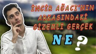 'İNCİR AĞACI' SEMBOLÜNÜN MANASI NEDİR??/AKLIMDA DELİ SORULAR 004