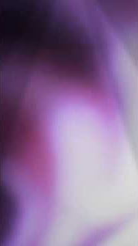 JUNGLE DUCTH TERBARU 2021