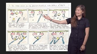 Visual Communication in Biology 2: Animating Molecular Biology, Part I - Janet Iwasa (U. Utah)