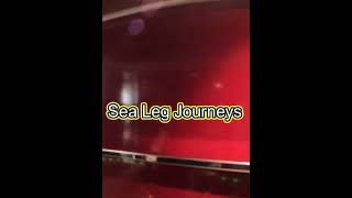 How to use the Smart Elevator on MSC Ships