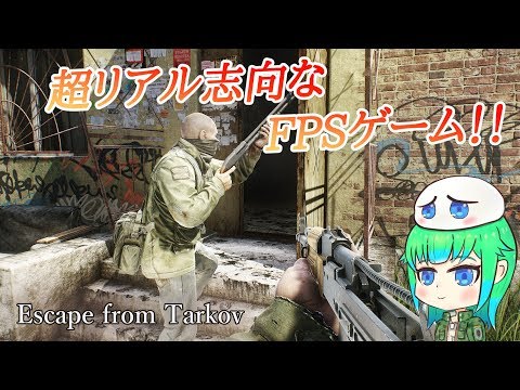 【EFT】アプデも入ったタルコフさん遊びましょう【Vtuber】